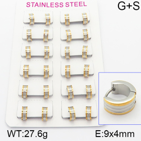 Stainless Steel Earrings  5E2001137alka-387