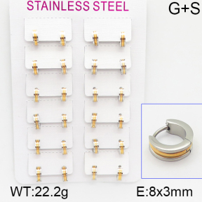 Stainless Steel Earrings  5E2001138alka-387