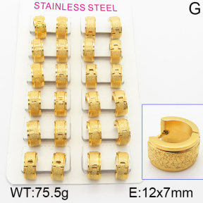 Stainless Steel Earrings  5E2001139alka-387