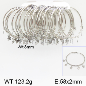 Stainless Steel Earrings  5E2001142hjib-722
