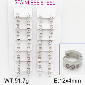 Stainless Steel Earrings  5E4000905amaa-387
