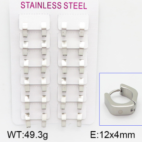 Stainless Steel Earrings  5E4000907akia-387
