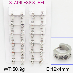 Stainless Steel Earrings  5E4000908amaa-387