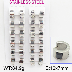 Stainless Steel Earrings  5E4000909akoa-387