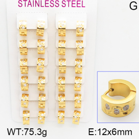 Stainless Steel Earrings  5E4000911bnib-387