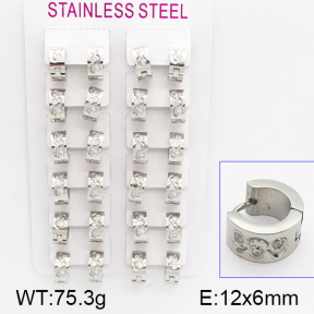 Stainless Steel Earrings  5E4000912amaa-387