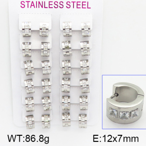 Stainless Steel Earrings  5E4000913amaa-387