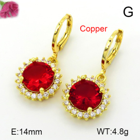 Fashion Copper Earrings  F7E400710vbnb-L024