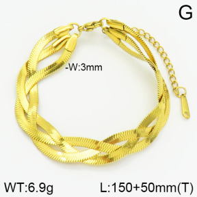 Stainless Steel Bracelet  2B2000660abol-434