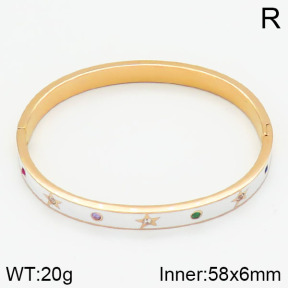 Stainless Steel Bangle  2BA400407ahlv-434