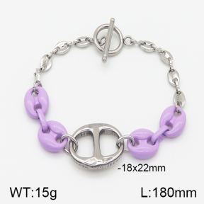 Stainless Steel Bracelet  5B3000572vhkb-656