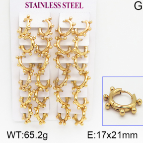 Stainless Steel Earrings  5E2001150ajjm-446