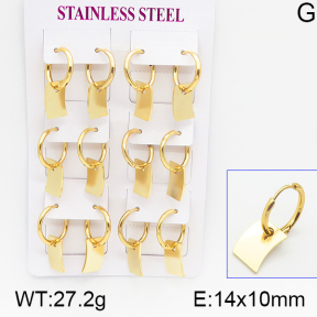 Stainless Steel Earrings  5E2001157ahlv-446