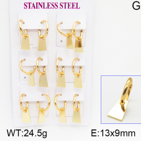 Stainless Steel Earrings  5E2001160ahlv-446