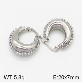 Stainless Steel Earrings  5E2001168bhva-259