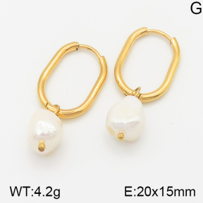 Stainless Steel Earrings  5E3000441vbnb-259