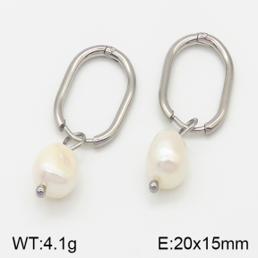 Stainless Steel Earrings  5E3000442vbmb-259