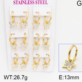 Stainless Steel Earrings  5E4000922vhpo-446