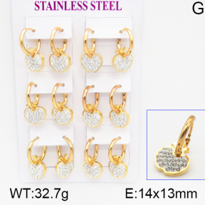 Stainless Steel Earrings  5E4000930vhpo-446