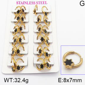 Stainless Steel Earrings  5E4000933ajma-446