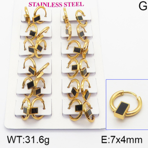 Stainless Steel Earrings  5E4000934ajma-446