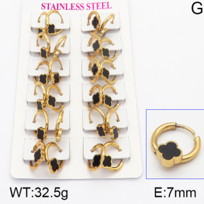 Stainless Steel Earrings  5E4000935ajma-446