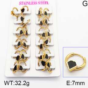 Stainless Steel Earrings  5E4000936ajma-446