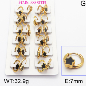 Stainless Steel Earrings  5E4000937ajma-446