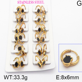 Stainless Steel Earrings  5E4000938ajma-446