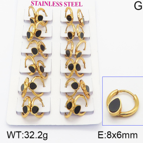 Stainless Steel Earrings  5E4000939ajma-446