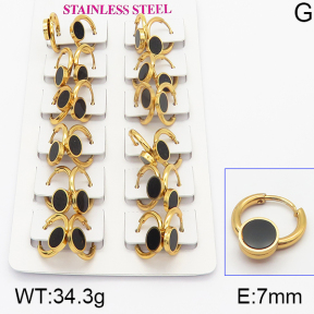 Stainless Steel Earrings  5E4000940ajma-446