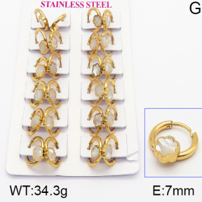 Stainless Steel Earrings  5E4000941ajma-446