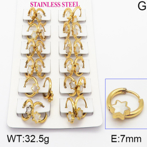 Stainless Steel Earrings  5E4000942ajma-446