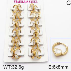 Stainless Steel Earrings  5E4000943ajma-446