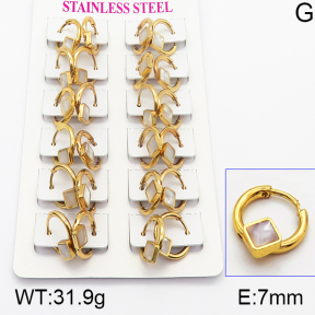 Stainless Steel Earrings  5E4000944ajma-446