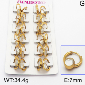 Stainless Steel Earrings  5E4000945ajma-446