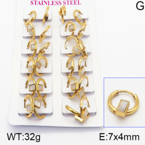 Stainless Steel Earrings  5E4000946ajma-446