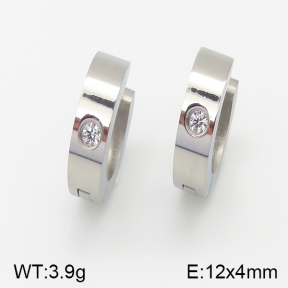 Stainless Steel Earrings  5E4000953vbmb-259