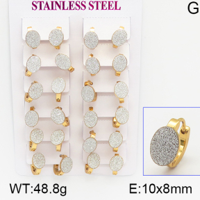 Stainless Steel Earrings  5E5000019ajma-446
