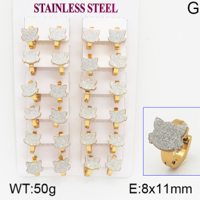 Stainless Steel Earrings  5E5000021ajma-446