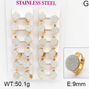 Stainless Steel Earrings  5E5000022ajma-446