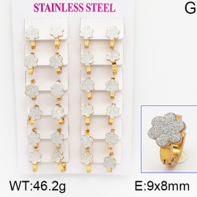 Stainless Steel Earrings  5E5000023ajma-446
