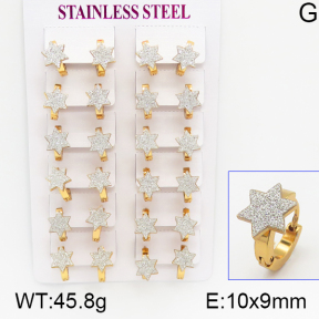 Stainless Steel Earrings  5E5000027ajma-446