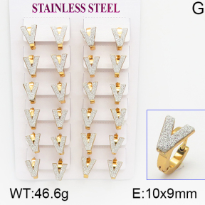 Stainless Steel Earrings  5E5000029ajma-446