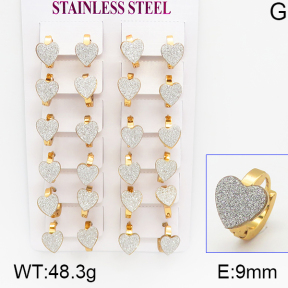 Stainless Steel Earrings  5E5000031ajma-446
