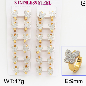 Stainless Steel Earrings  5E5000033ajma-446
