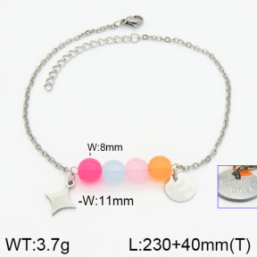 Stainless Steel Anklets  2A9000514ablb-350