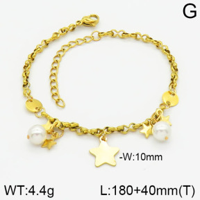 Stainless Steel Bracelet  2B3000718vbnl-350