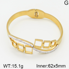 Stainless Steel Bangle  5BA400550bbml-689