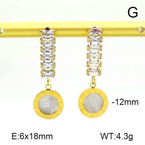 Stainless Steel Earrings  7E4000272vbpb-669